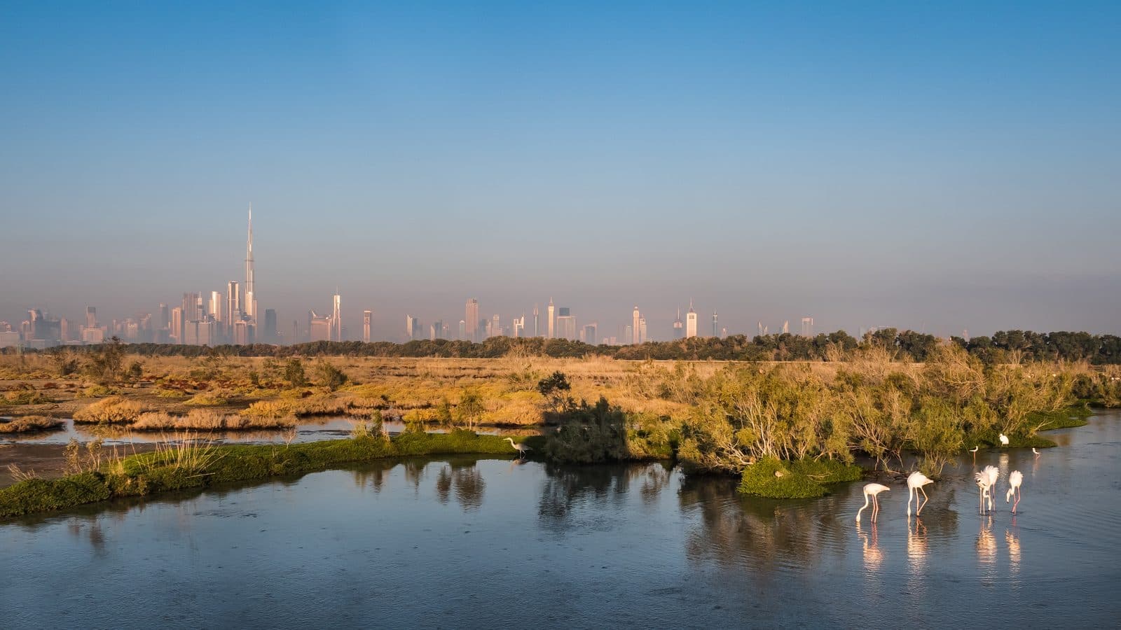 Sobha Hartland β distressed-property landscape